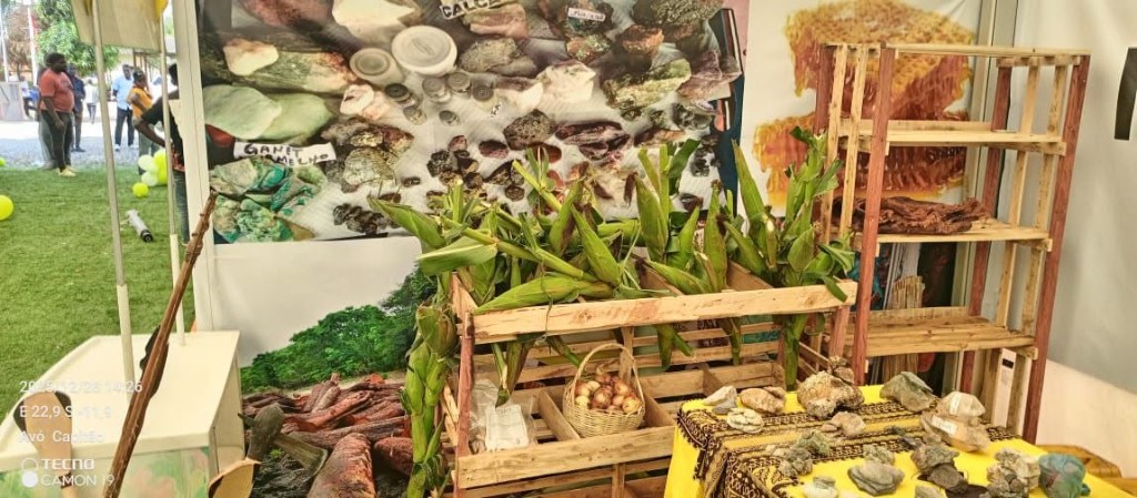 Recursos Naturais e Minerais
